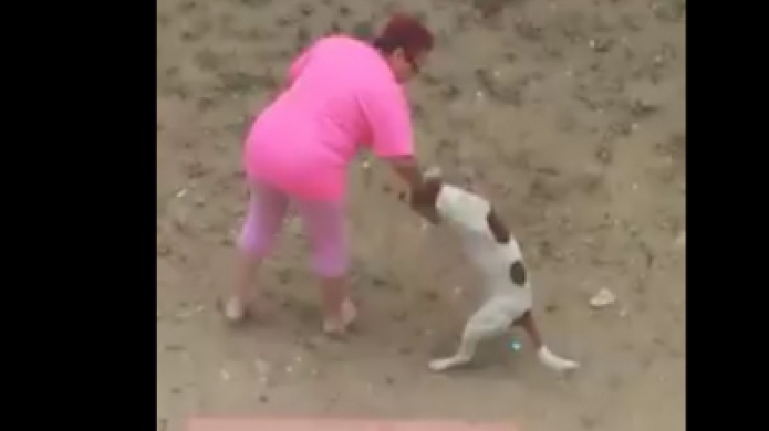Video: Cargos de maltrato animal a mujer que agrediÃ³ salvajemente a un perro en San Lorenzo