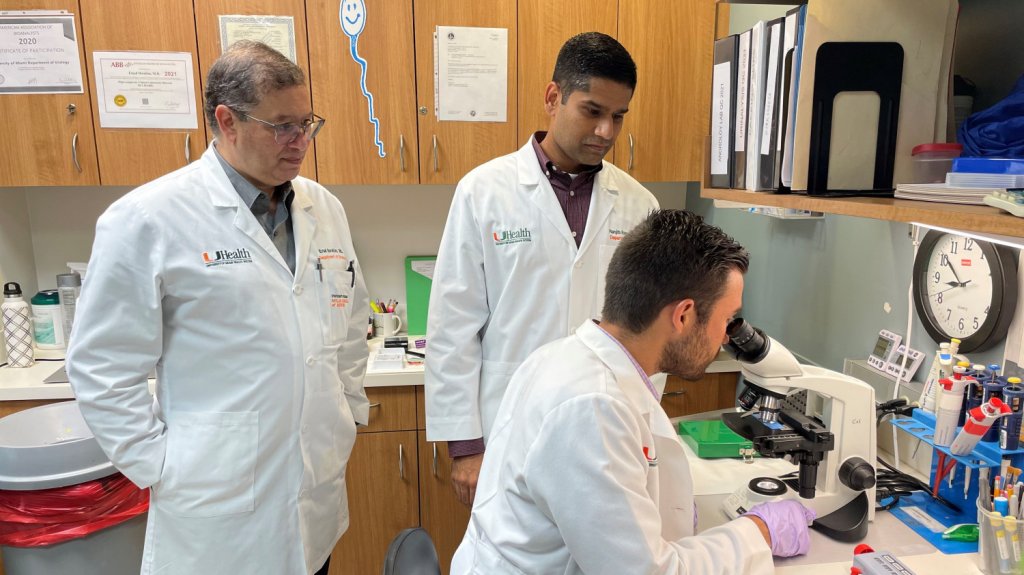  Vacunas Pfizer y Moderna no causan infertilidad masculina, según estudio 