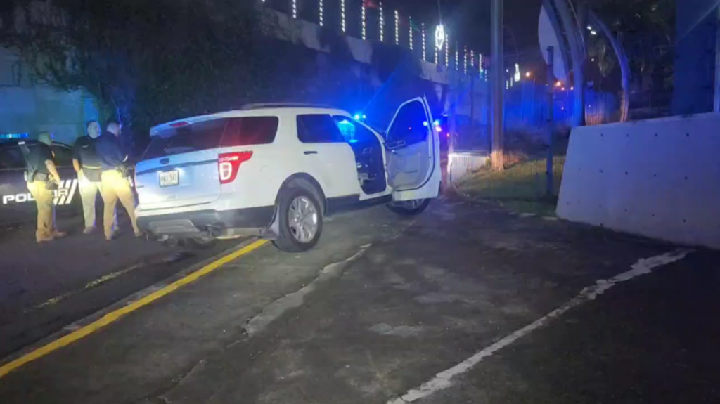  Video: Tiroteo en Bayam&oacute;n deja un muerto, un herido y dos arrestados luego de persecuci&oacute;n 