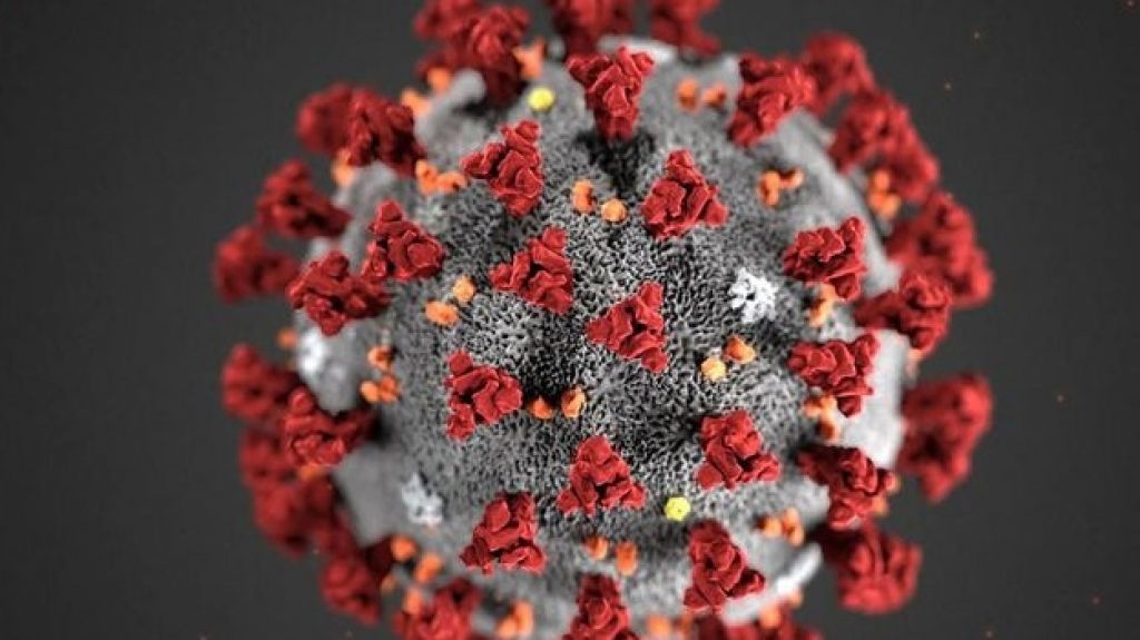  Coronavirus/Defunciones por la pandemia en el país sigue en alza con 260 y 5,300 casos de contagios 