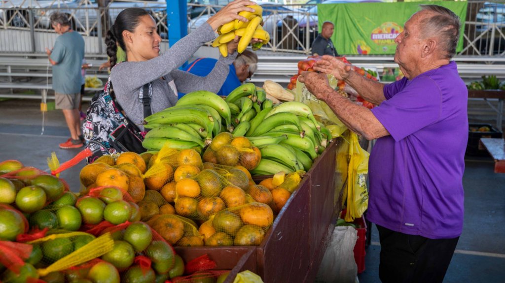  Anuncian m&aacute;s de $2 millones en fondos federales para incentivar a agricultores locales 