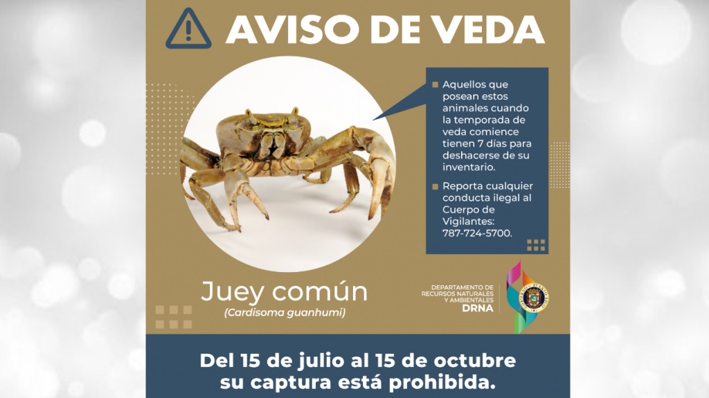  Secretario del DRNA recuerda comienzo de la veda del juey palanc&uacute; 