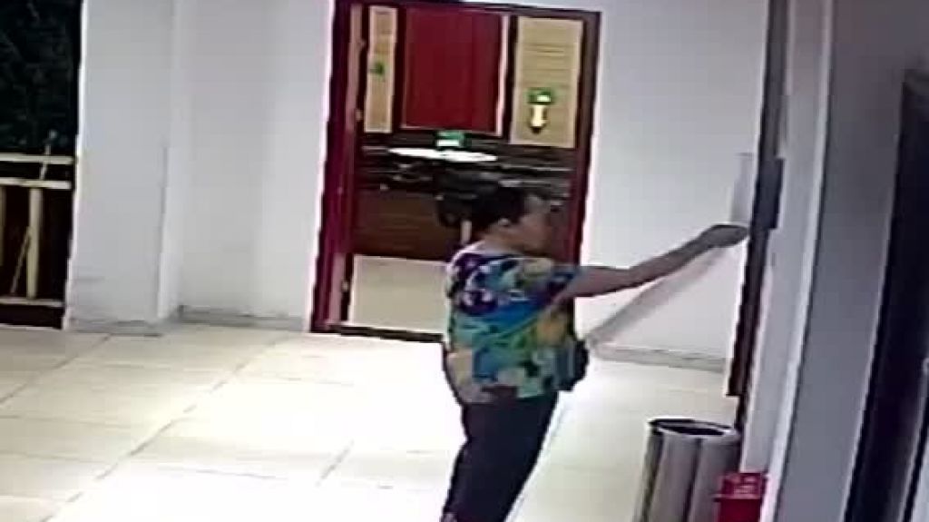  Video: China investiga el uso indebido de papel de ba&ntilde;o 