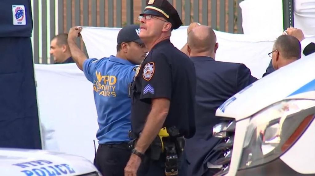  Video: Hallan dos ni&ntilde;os muertos en un veh&iacute;culo en el Bronx en New York 