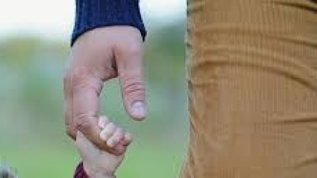  Presidente de la C&aacute;mara env&iacute;a mensaje de felicitaci&oacute;n del D&iacute;a de Padres 