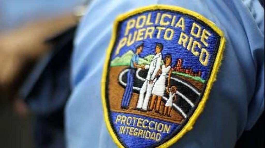  Se roban un perrito &ldquo;Chihuahua&rdquo; de urbanizaci&oacute;n en Rio Piedras 