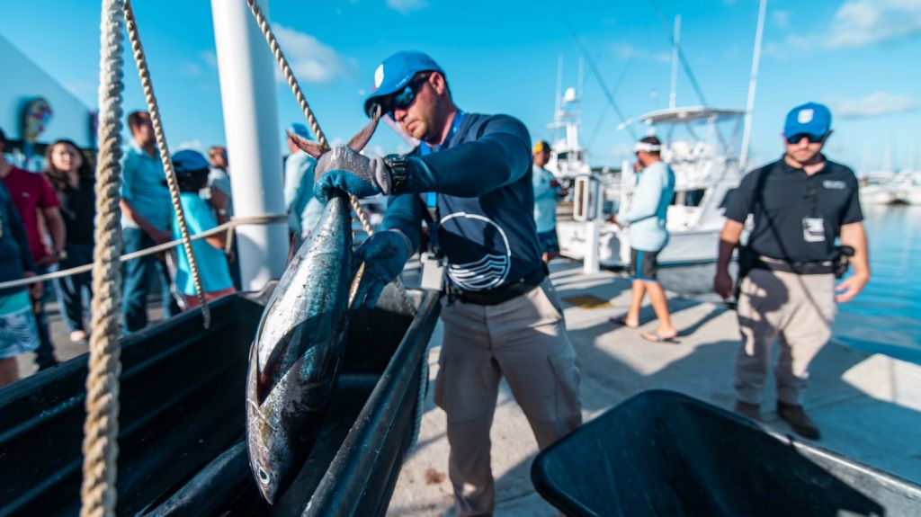  Celebrarán sexta edición del Puerto del Rey Billfish Tournament, con un premio principal de 25,000 dólares 