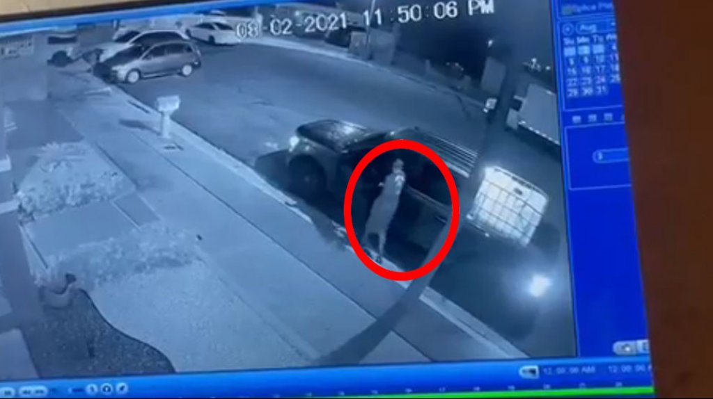  Video Momento en que un &ldquo;Caco&rdquo; roba una guagua en urbanizaci&oacute;n de Carolina 