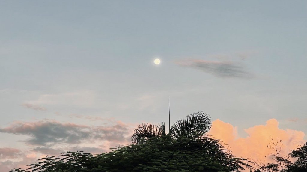  Resumen del Tiempo 6 de diciembre 