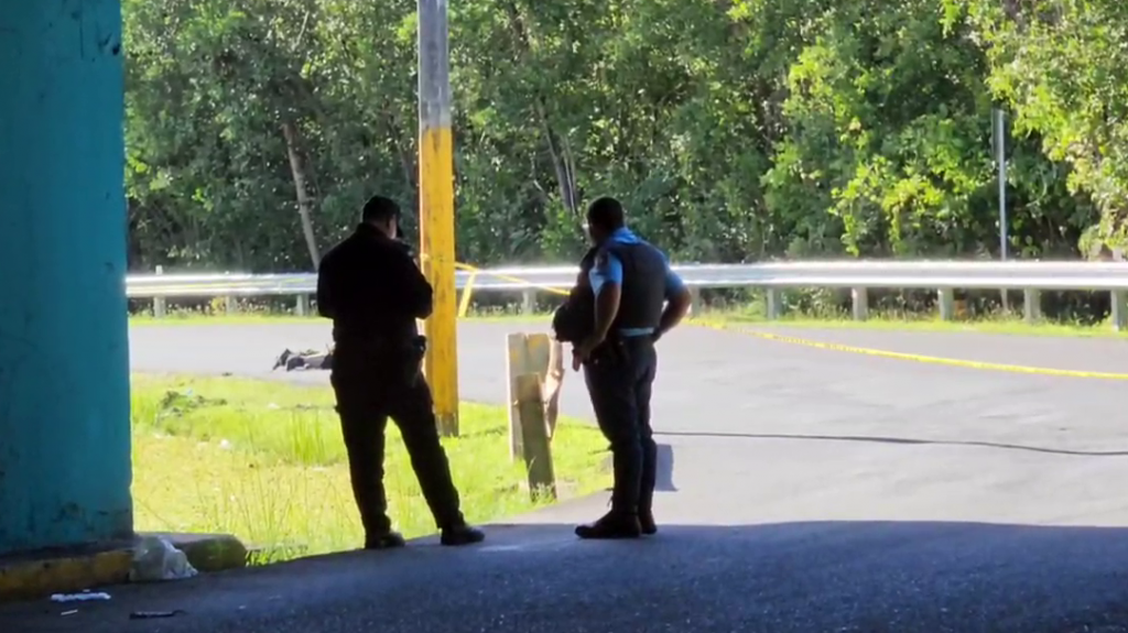  Video: Se reporta asesinato en el &aacute;rea de la Kennedy 