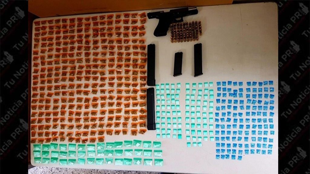  Arrestan a dos mujeres en medio de allanamiento en Pe&ntilde;uelas 