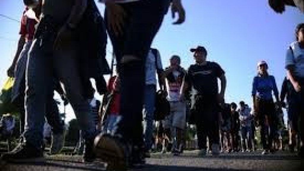  Vea video: ONU reta al mundo a caminar 2.000 millones de km para apoyar a los refugiados 