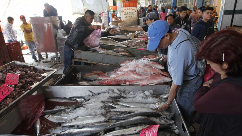  Corte insta a EE.UU a prohibir la importaci&oacute;n de pescado y marisco de redes 