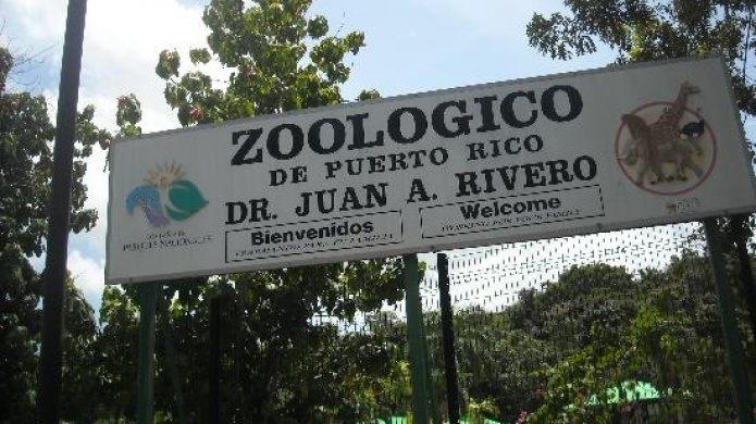 Alcalde de MayagÃ¼ez lamenta y rechaza recomendaciones de comitÃ© nombrado por La Fortaleza sobre futuro de zoolÃ³gico de la Isla