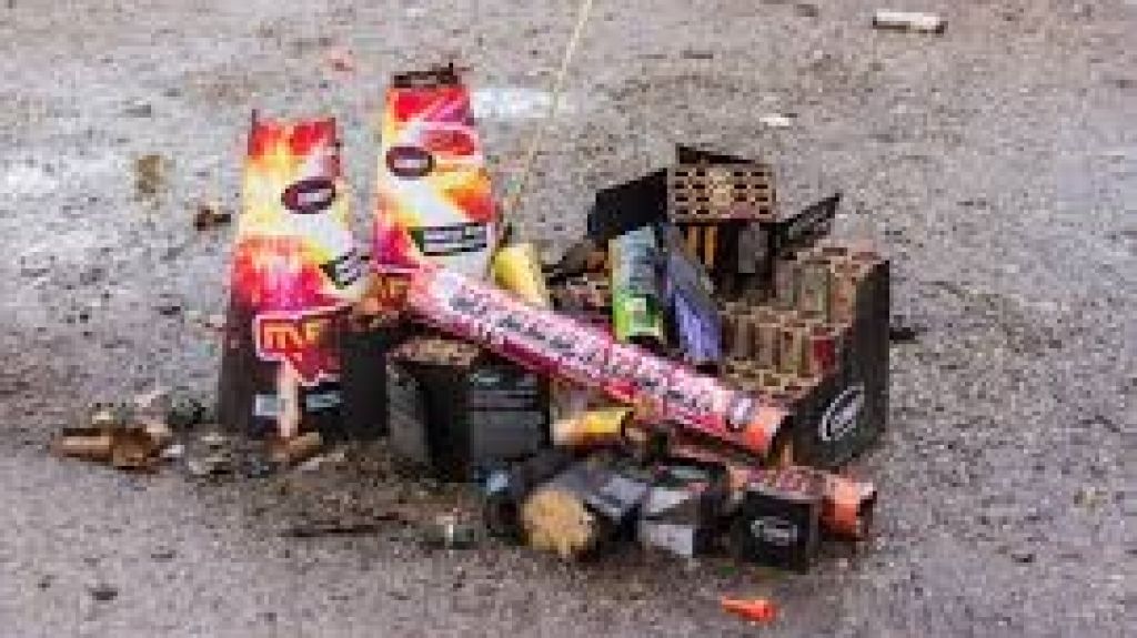  Piden a los medios concientizar sobre da&ntilde;o pirotecnia en animales dom&eacute;sticos 