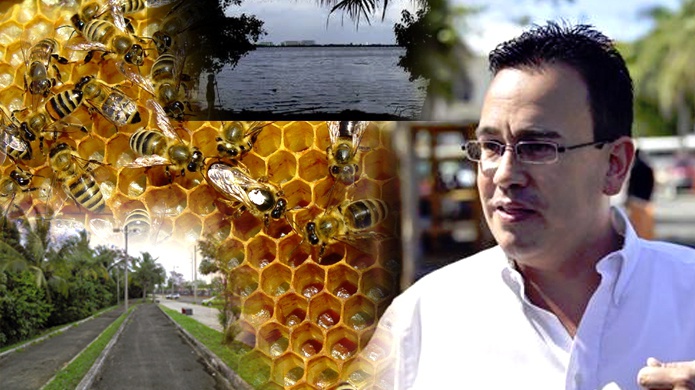 Municipio de San Juan planea exterminar mas de 150 mil abejas por no pagar 500 dÃ³lares