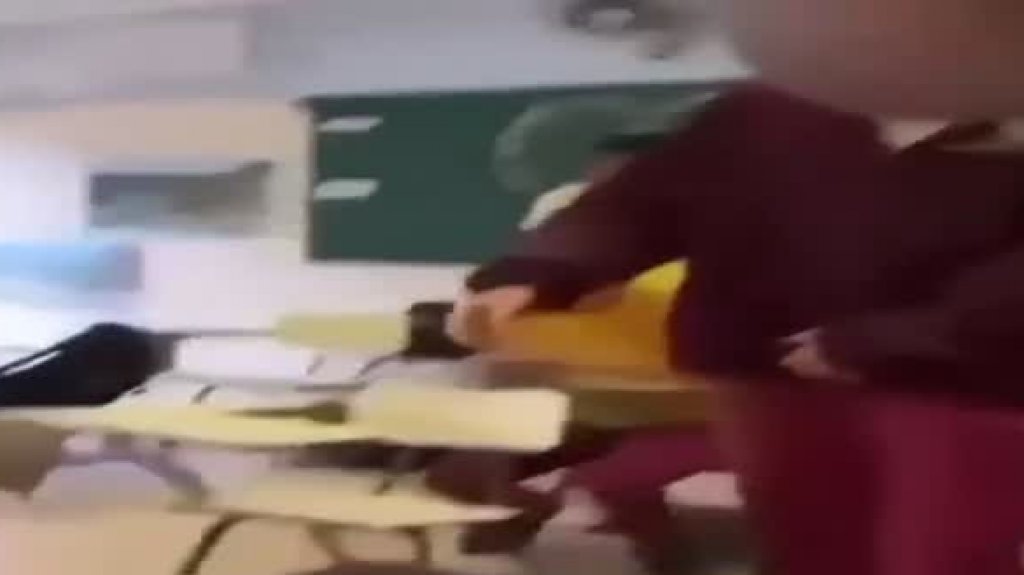  Publican video de estudiante de colegio en Cabo Rojo que maltrata a “Agustina” una gatita 