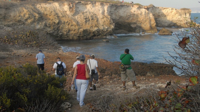Senado verÃ¡ maÃ±ana condiciones del Bosque Seco de GuÃ¡nica