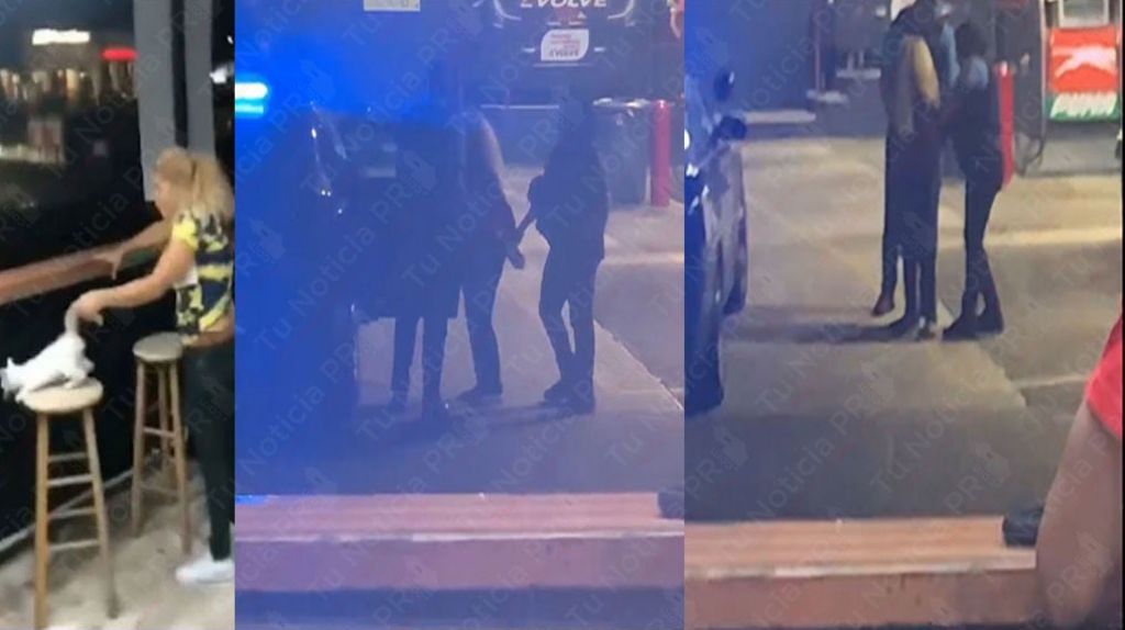  Video: Momento en que arrestan a "La Cana&rdquo; mujer que lanz&oacute; un gato a los autos en Bayam&oacute;n 