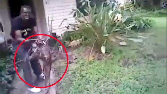 PolicÃ­a logra controlar perro Pit Bull que atacaba a una familia