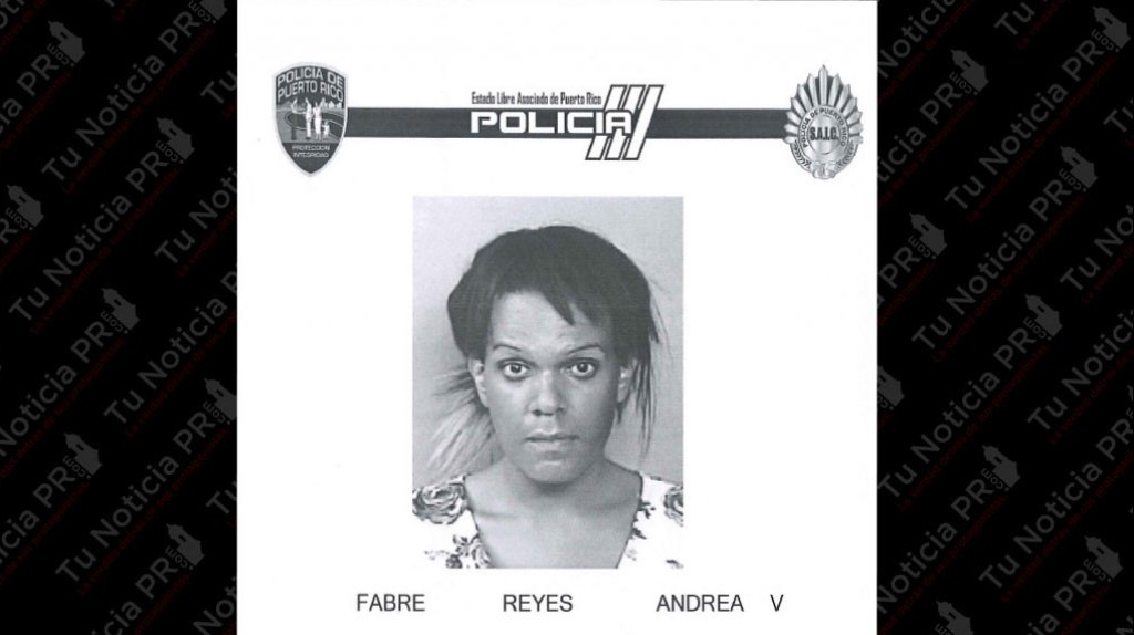  Arrestada y fichada mujer que agredi&oacute; a polic&iacute;as en Hato Rey 