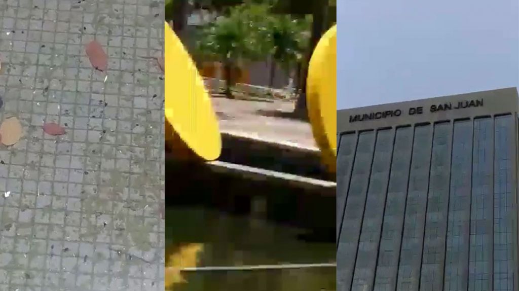  Publican video de un criadero de mosquitos en Torre Municipal de San Juan 