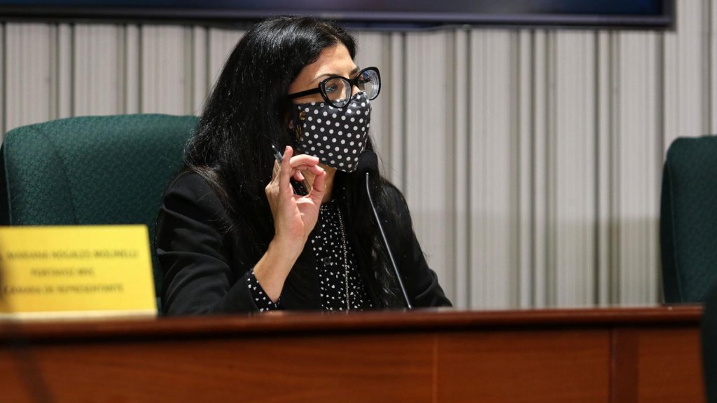  Portavoz del MVC en la C&aacute;mara: &ldquo;Tenemos que cerrar e imponer responsabilidades a AES&rdquo; 