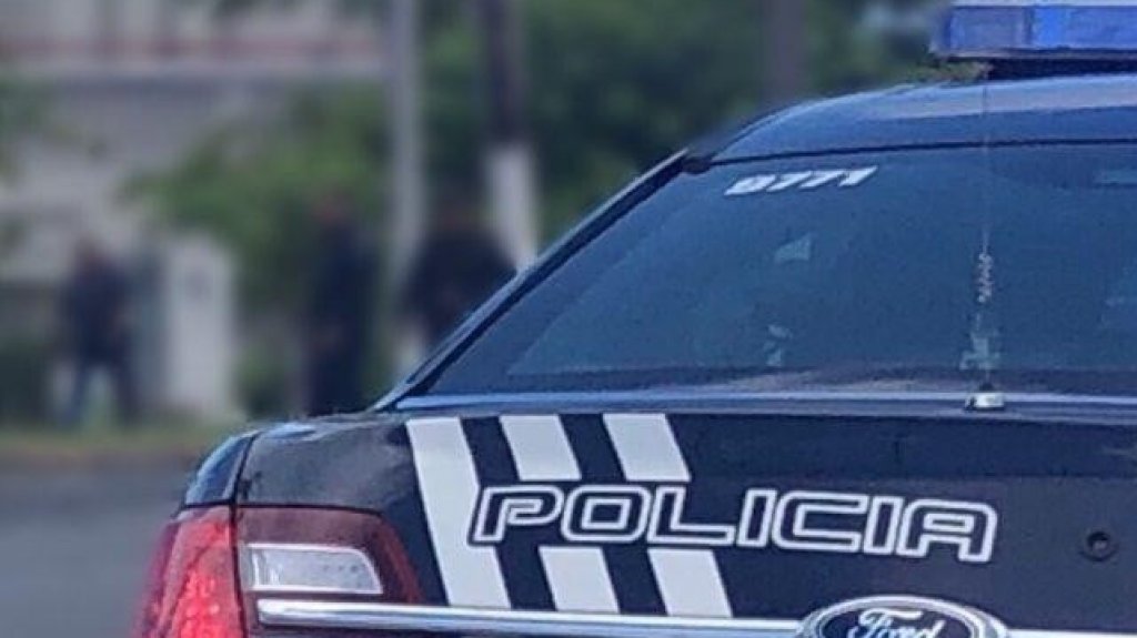  Se roban tres toros de finca en Naguabo 