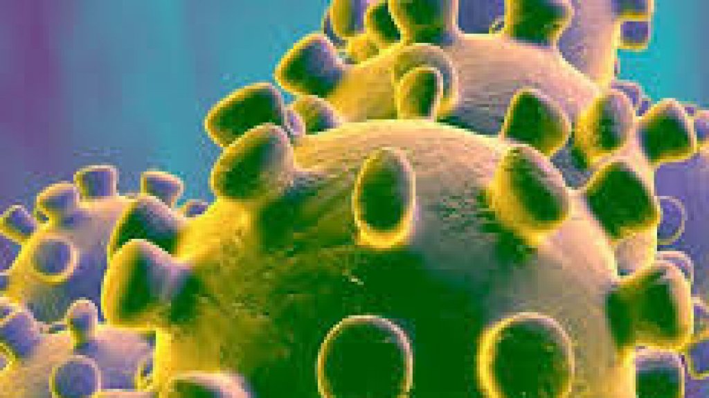  Salud reporta 16 muertes, 647 casos confirmados, 135 probables y 451 sospechosos adicionales por COVID-19 