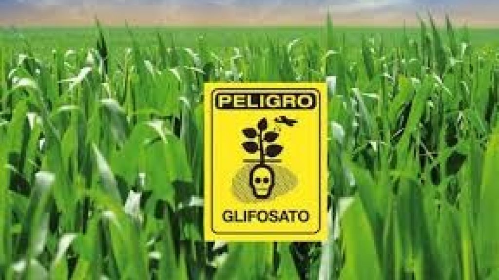  Legisladora Municipal del PIP conf&iacute;a en que se aprobar&aacute; prohibici&oacute;n del glifosato en la capital 