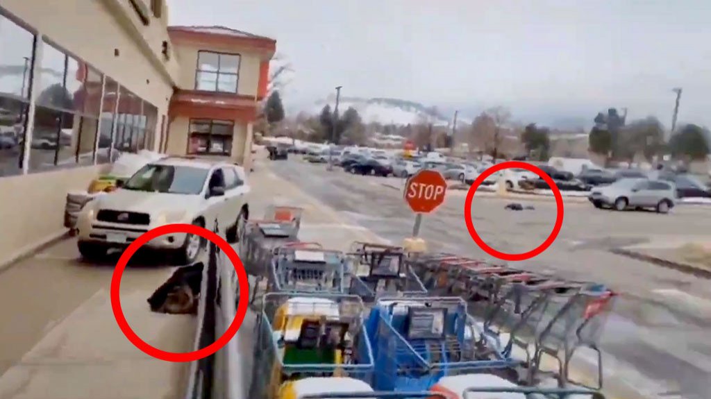  Video: Momentos del tiroteo en un centro comercial en Colorado 