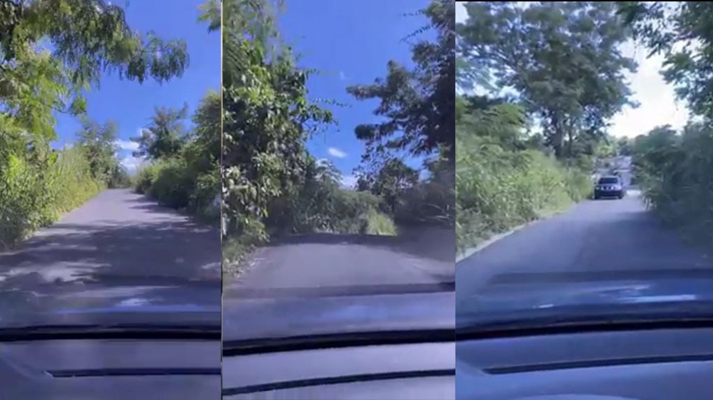  Video: Residente de Caimito demuestra en “La Selva” en la que Yulin ha convertido a San Juan 