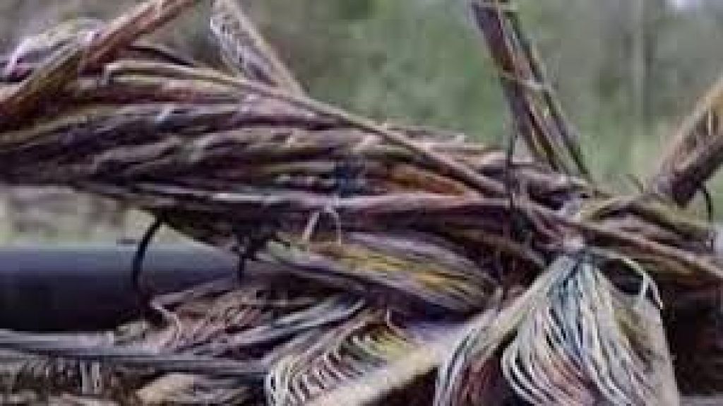  Se reporta hurto de cables en Arecibo 