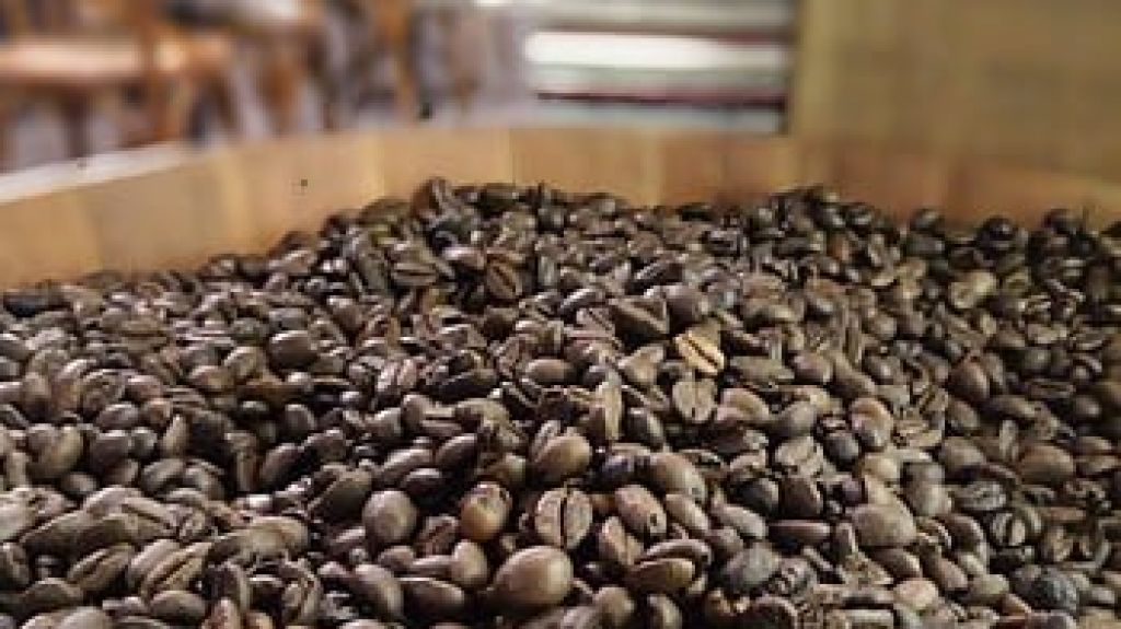  Agricultura anuncia aumento en vale de abono como incentivo a agricultores 