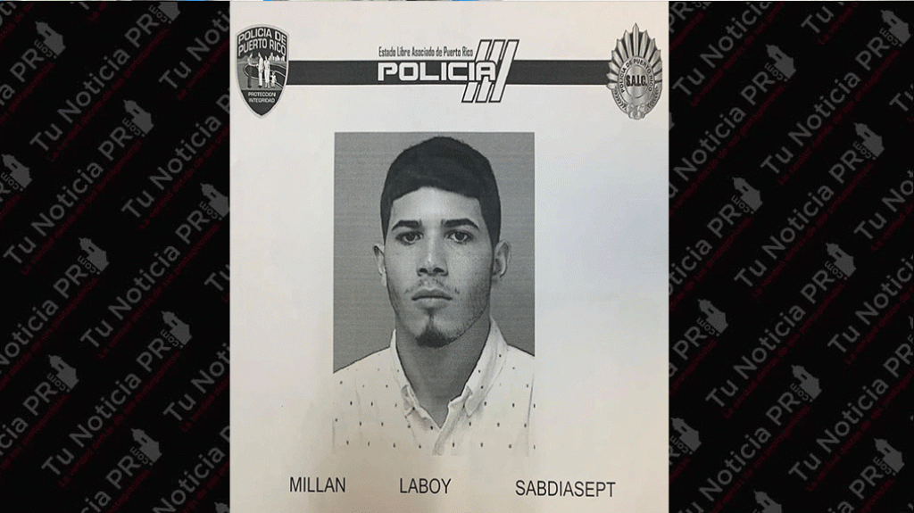  Asalt&oacute; en Naguabo a un hombre que le daba comida a animales realengos 