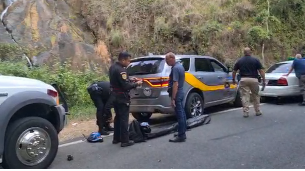  Video: Momento en que la polic&iacute;a se prepara para rescatar cuerpo de joven que muri&oacute; al ser atacado por abejas en Corozal 