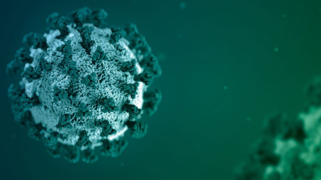  10 muertes, 232 casos y 5.57 la tasa de positividad por COVID-19 según informe del DS 