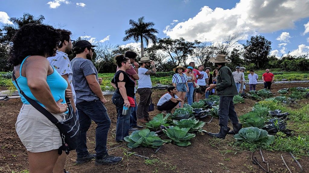  Chefs estrechan lazos con la agroecolog&iacute;a boricua 