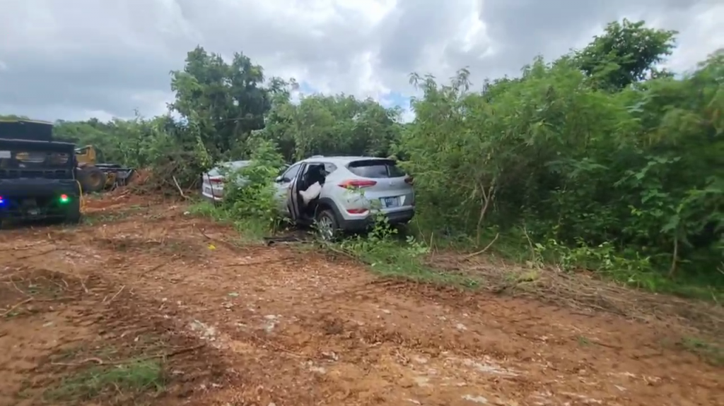  Video: Encuentran cementerio de carros robados en Dorado 