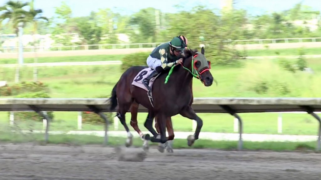  H&iacute;picos se re&uacute;nen con JSF para impulsar actividad que tiene un impacto en la econom&iacute;a de m&aacute;s de 200 millones de d&oacute;lares anuales 