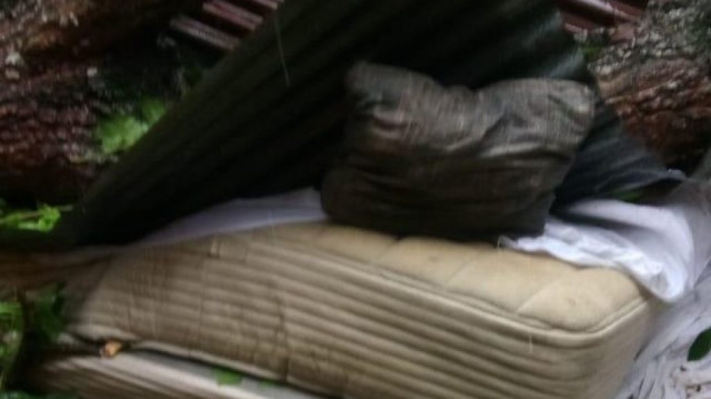  Muere joven tras caer árbol en su casa producto de vientos provocados por Laura 