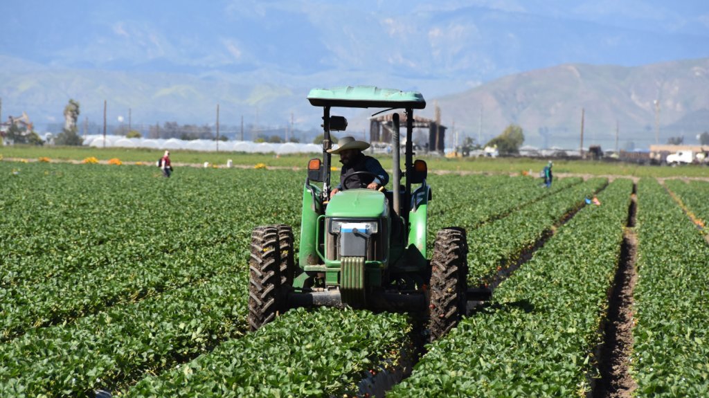  Despiden a campesinos que denunciaron contagio de COVID-19 en California 
