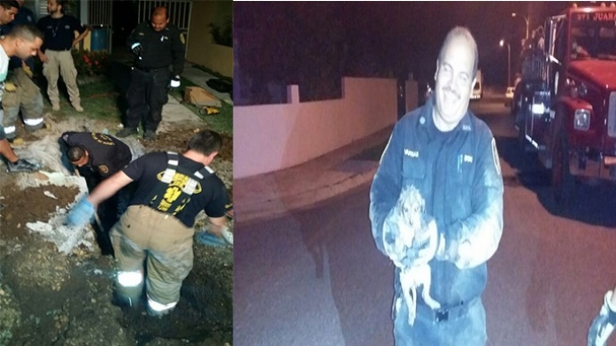 BOMBEROS DE AREA SUR RESCATAN PERRITO QUE CAYÃ EN ALCANTARILLA
 
