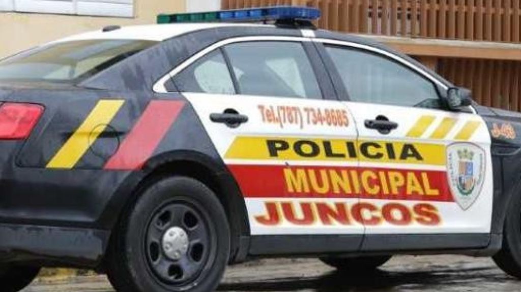  Roban 234 placas solares de terreno en Juncos 
