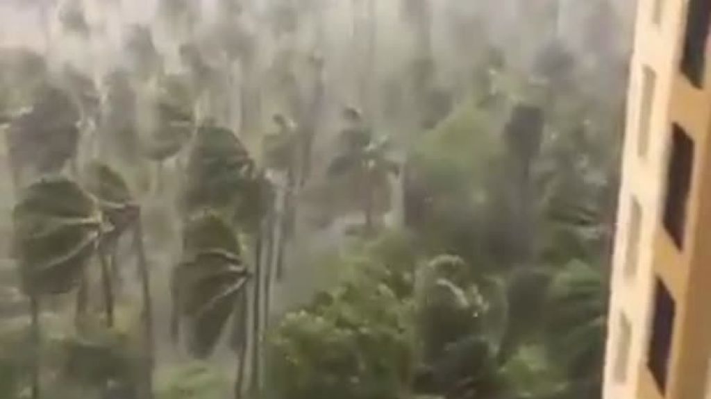  Video: Llega al este de India el cicl&oacute;n Fani categor&iacute;a 5 