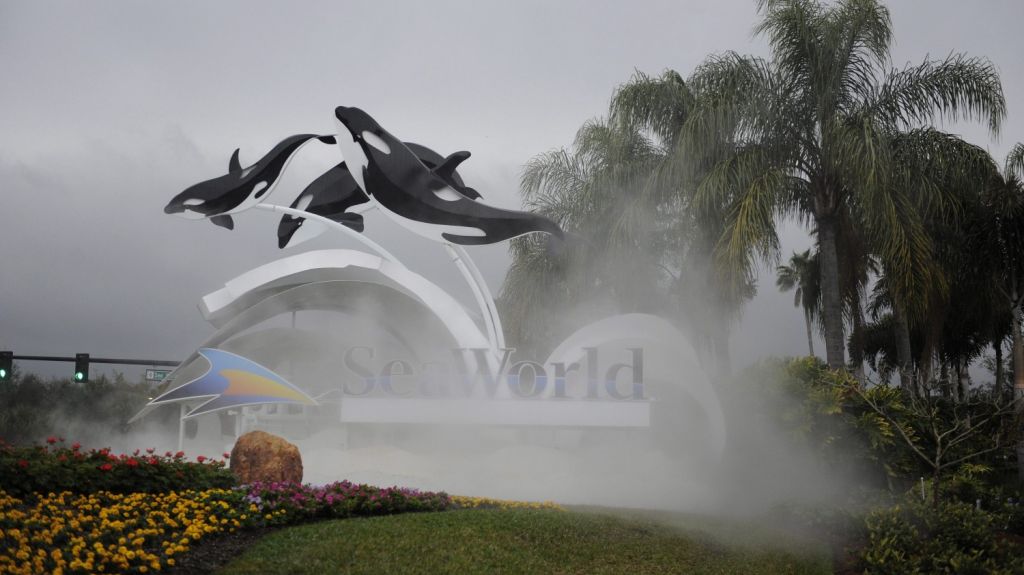  Muere "Keyla", una orca de 30 a&ntilde;os exhibida en el SeaWorld de Orlando 