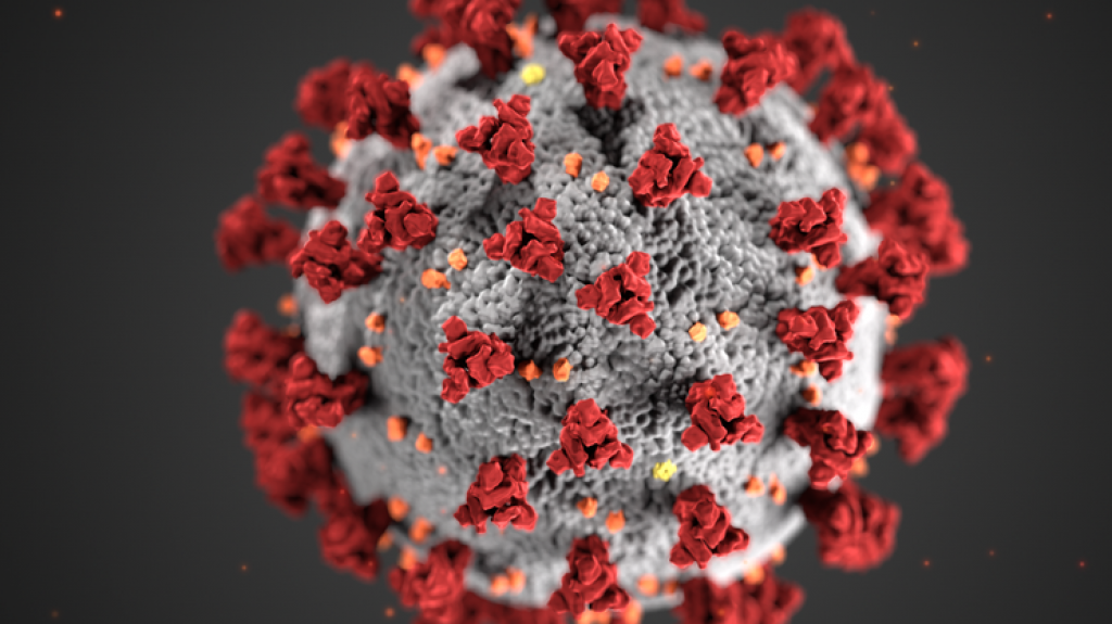  Confirma Salud otras nueve muertes por Covid-19 con 775 contagios 