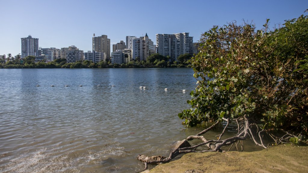  Corredores de bicicleta en Condado rescatan a un hombre que iba a ser violado por otro 