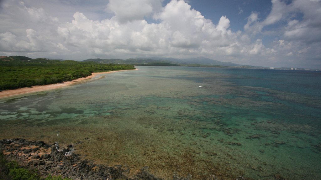  Buscan mayor proyecci&oacute;n para el Corredor Ecol&oacute;gico del Noreste ante el aumento del tr&aacute;nsito en la zona 