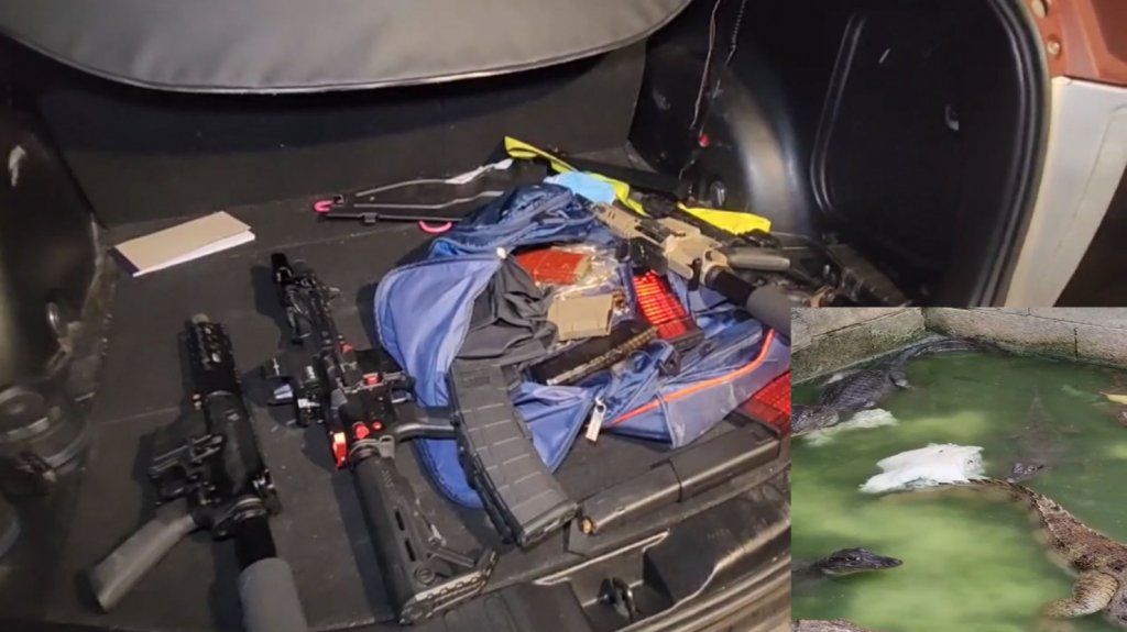  Video del lugar en Manat&iacute; donde la polic&iacute;a ocupa rifles y 19 caimanes 